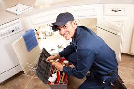 Best Residential Plumbing Services  in Hickman, NE